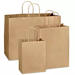 Paper Bag with Handles - Kraft - Large
