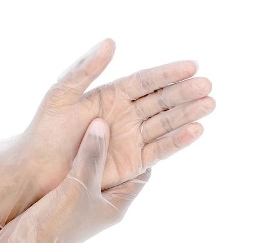 Vinyl Gloves – Powder Free (1,000/Case)