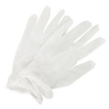 Vinyl Gloves – Powder Free (1,000/Case)